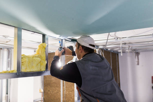 Best Specialty Insulation in Las Palmas Ii, TX