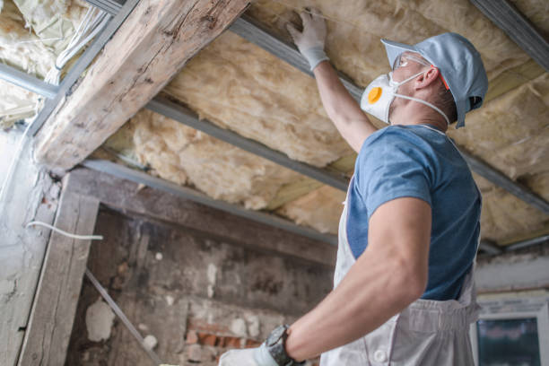 Best Energy Efficiency Solutions in Las Palmas Ii, TX