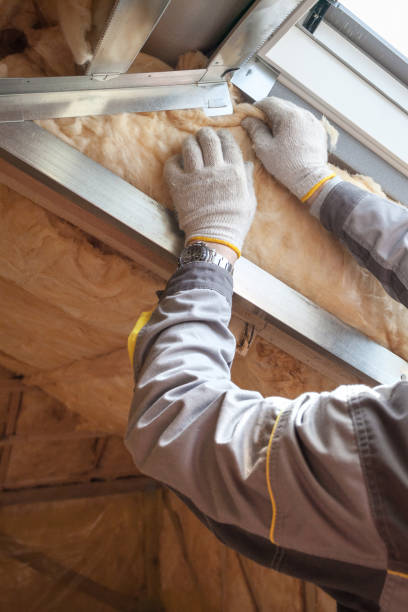 Best Insulation Materials and Products in Las Palmas Ii, TX