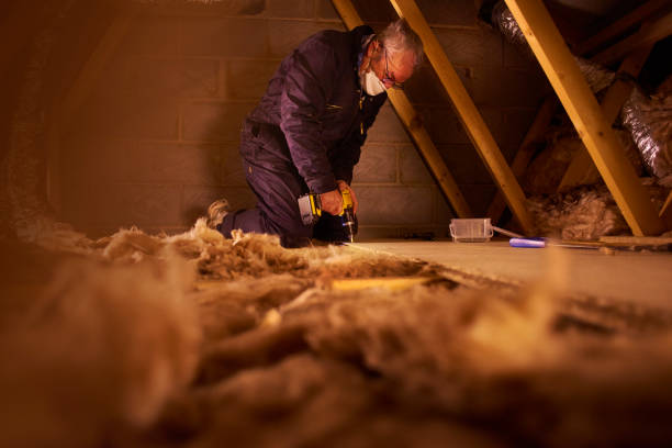 Las Palmas Ii, TX Insulation Contractor Pros